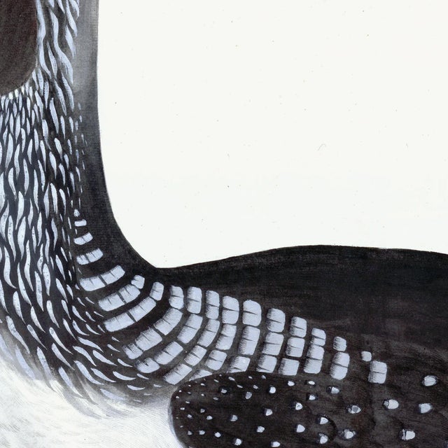 2020s Black Throated Diver Plate 33 by Olof Rudbeck (Cfa-Wd) For Sale - Image 5 of 6