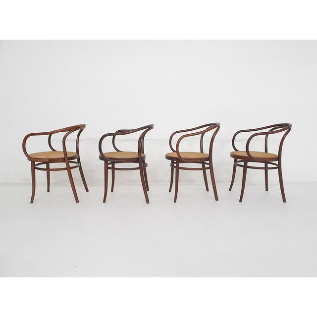 Czechoslovakian Model 209 Chairs, 1970s, Set of 4 For Sale - Image 6 of 11