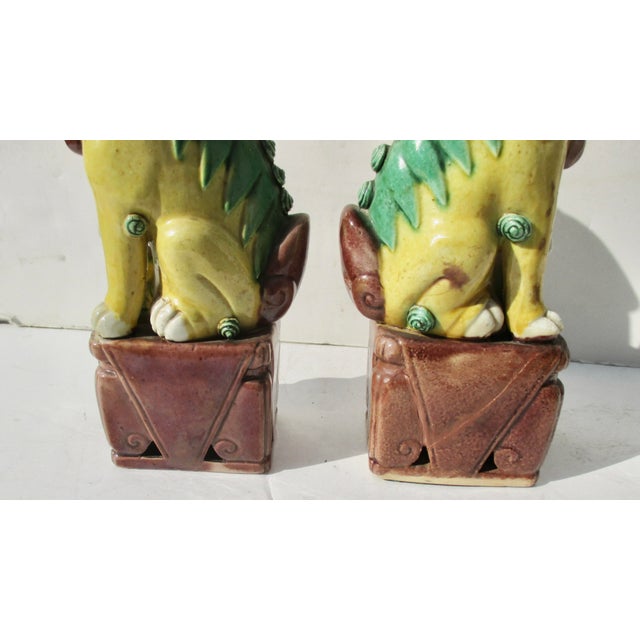 1910s Antique Chinese Porcelain Sanci Glaze Foo Dogs - A Pair of 2 For Sale - Image 5 of 6