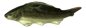C.1890 Majolica Fish Jardiniere George Dreyfus Fontainebleau