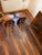 Pair of Vintage "Eiffel Tower" Chrome and Bent Wood Bar Stools For Sale - Image 10 of 11