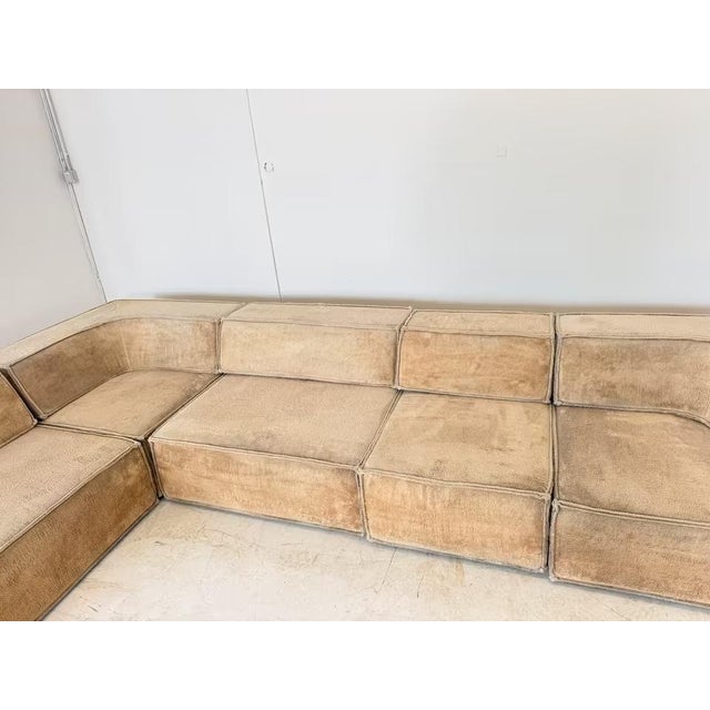Vintage Trio Module Sofa from Cor, Set of 5 For Sale - Image 4 of 15