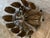 Mid-Century Modern 1970s Stunning Mid-Century Modern Brutalist Torch-Cut Brass Chandelier by Tom Greene for Feldman Lighting For Sale - Image 3 of 5