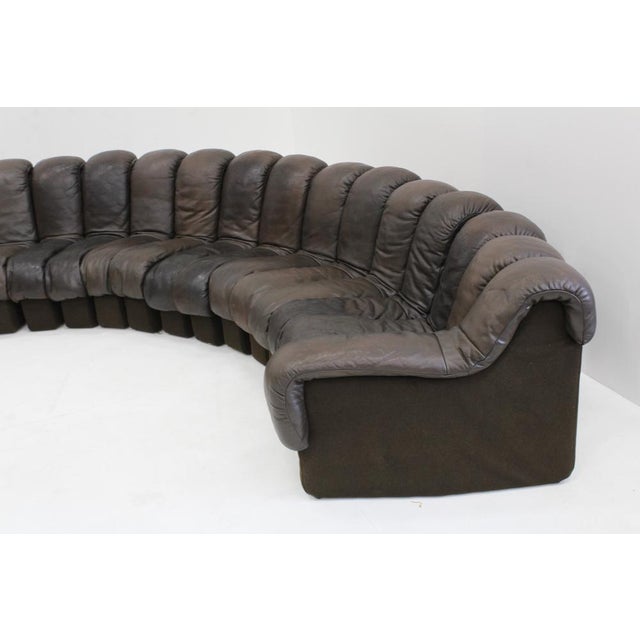 Vintage DS-600 Non Stop Snake Sofa from de Sede, 1970s, Set of 22 For Sale - Image 11 of 14