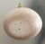 Green Todd Warner Parrot Hatching From Egg Sculpture Limited Ed. Signed 2000 For Sale - Image 8 of 8