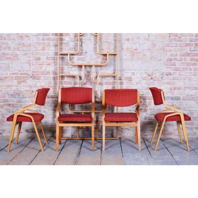 1960s Mid-Century Czech Chair in Maple attributed to Ludvik Volak for Drevopodnik Holesov, 1960s For Sale - Image 5 of 18