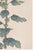 Not Yet Made - Made To Order Yellow Mum by Hasegawa, Vintage Japanese Botanical Art Print, 24" X 36" For Sale - Image 5 of 9