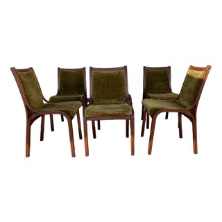 Chairs by V. Gregotti & Giotto Stopppino, Set of 6 For Sale