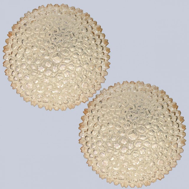 Medium Round Clear Textured Glass Wall Lights from Limburg, 1970, Set of 2 For Sale - Image 6 of 12