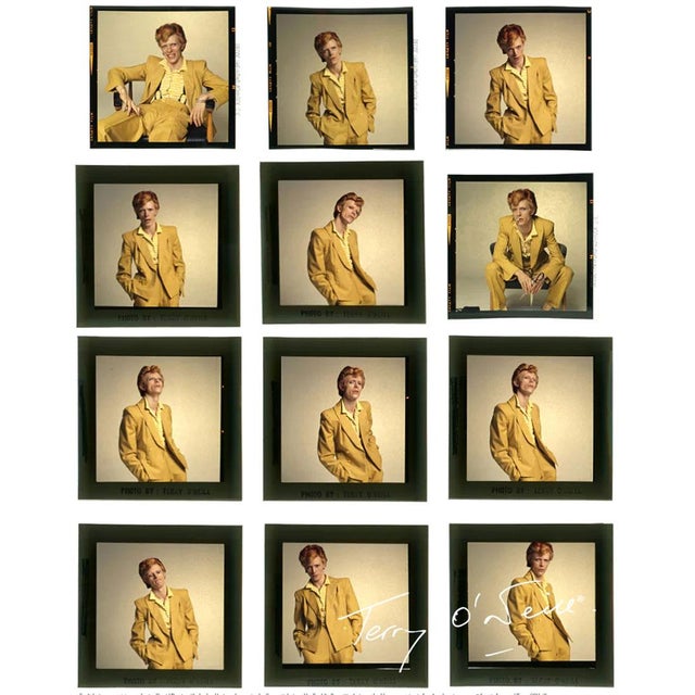 Terry O'neill David Bowie #6962 Poster Dimensions: 19,6 x 27 in / 50 x 70 cm Sold Unframed