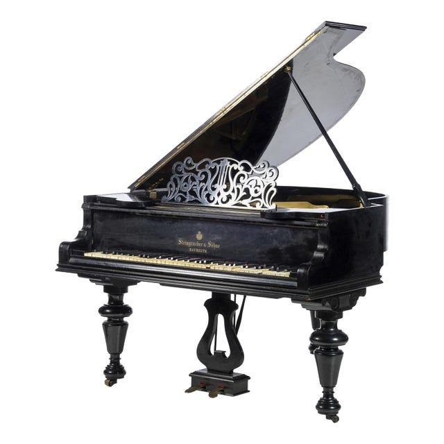 Grand Piano Musical Instrument from Steingraeber & Sohne For Sale