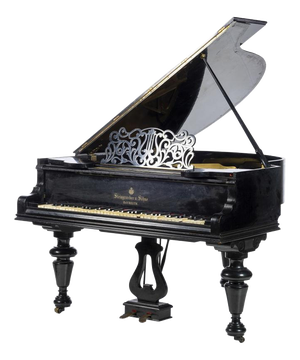 Grand Piano Musical Instrument from Steingraeber & Sohne