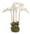 Phalaenopsis Orchid Bowl Drop-In 25" For Sale