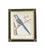 Chelsea House Inc Pair of Chelsea House French Ornithological Bird Prints Featuring a Wood Grouse & a Blue & Yellow Macaw, in Ebony Frames With Brass Butterfly Corners For Sale - Image 4 of 10
