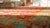 Textile 1900s Red -Jewel Tones Tribal Antique Turkish Oushak Rug 11' 9" X 13' 6" Handknotted Wool Carpet For Sale - Image 7 of 8