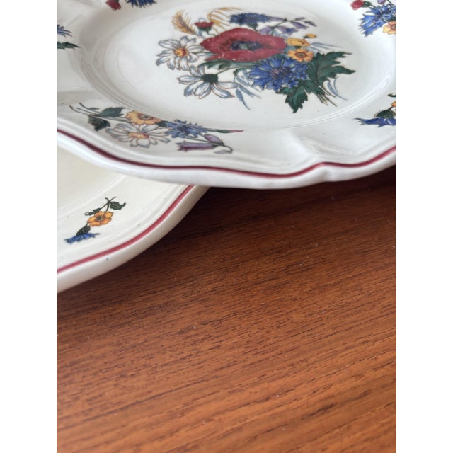 Beige Antique French Earthenware Dessert Plates with Agreste Pattern from Sarreguemines, 1960s, Set of 6 For Sale - Image 8 of 12