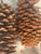 Brown 1960s Rustic Chalet Decor - Huge Pine Cones in Twig Basket For Sale - Image 8 of 8
