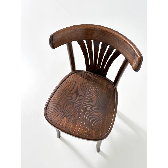 Vintage Bentwood Fan Chairs from ZPM Radomsko, Poland, 1970s For Sale - Image 16 of 18