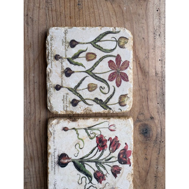 Late 20th Century Verta Botanical Tulip Travertine Stone Coasters – Set of 3 For Sale - Image 9 of 11