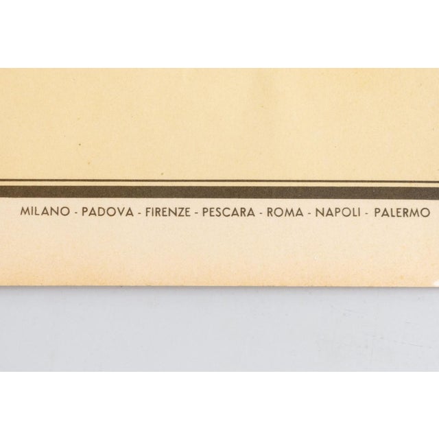 Educational Poster Depicting Fish from G.B. Paravia Torino, 1959 For Sale - Image 6 of 9