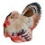 Vintage Ceramic Tabletop Turkey Planter For Sale