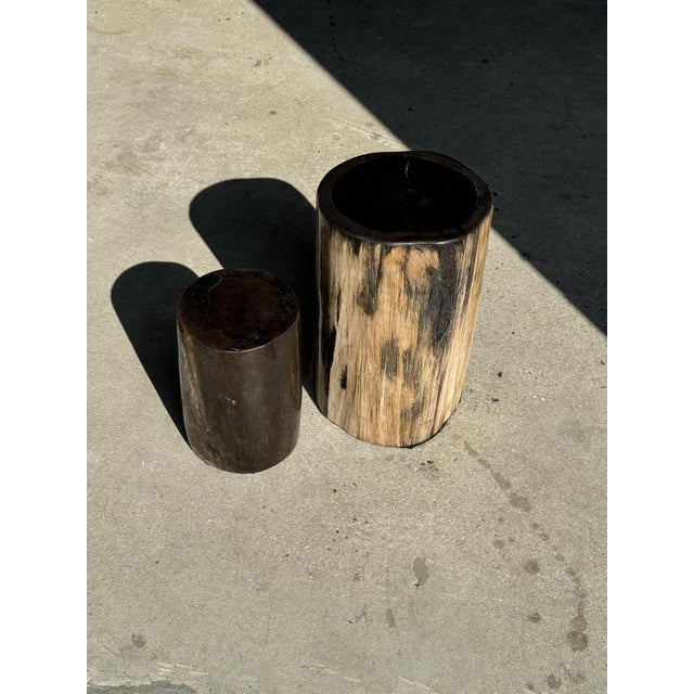 Wood Petrified Wood Side Table with Black Heart For Sale - Image 7 of 18