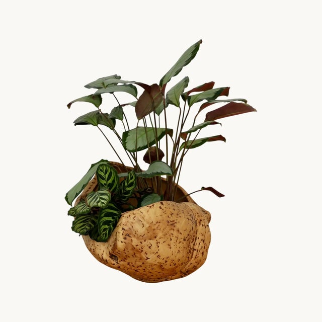 Wood Large Magnifying Glass in Elm, Sweden, 1970s For Sale - Image 7 of 12