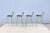 Mid-Century Modern Harry Bertoia for Knoll Bertoia Bar Height Stools - Set of 4 For Sale - Image 12 of 18