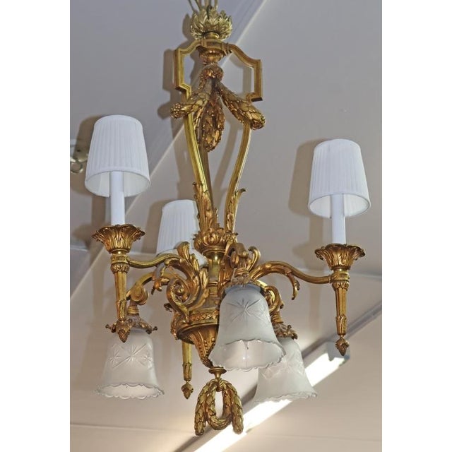 Bronze 1950s Louis XV French Style Gilt Bronze 6 Light Chandelier For Sale - Image 8 of 15