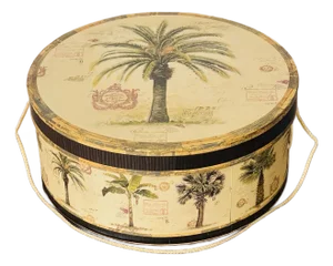 Vintage Safari Palm Trees Tropical Hat Box