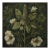 18" X 18" Original Botanical Fine Art Print - Dark Green Grisaille For Sale