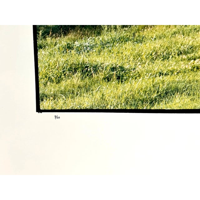 Maxwell Mackenzie, Farm Summer Landscape, Large Panoramic Vintage Color Photograph Signed Photo, 1993 For Sale - Image 4 of 9
