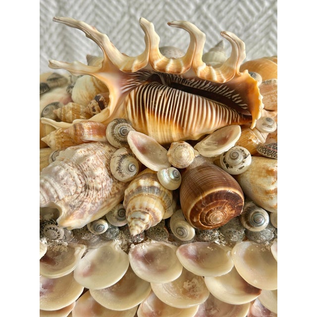 Wood Contemporary Large Shell Encrusted Palm Beach Regency Box Attributed to Currey and Company For Sale - Image 7 of 12