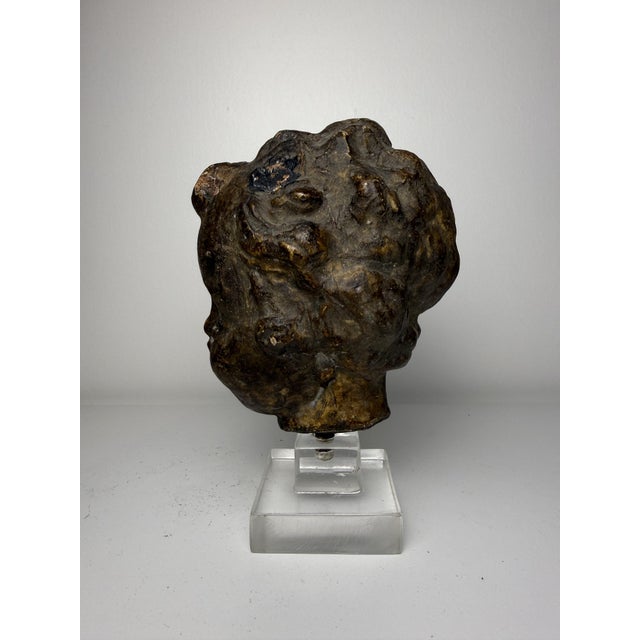16th Century Tuscan Artist, Sculpture Depicting a Cherub's Head, 1500, Terracotta For Sale - Image 5 of 17