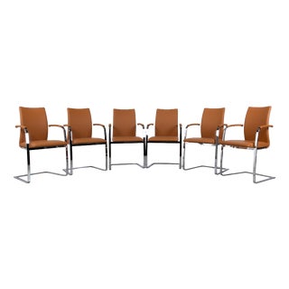 Swing Leather Chrome Chairs in Brown Cognac from Tonon, Set of 6 For Sale
