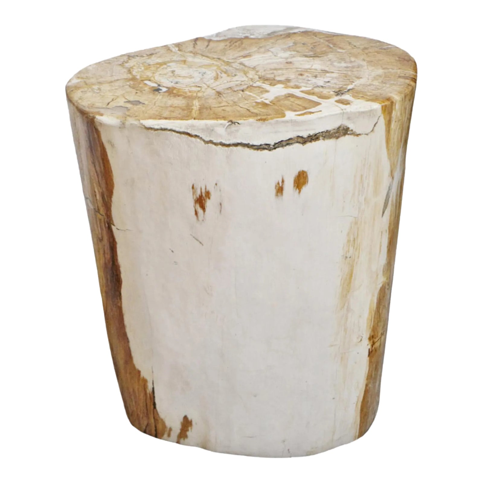 Petrified Wood Stump Side Table Chairish