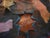 1980s Large Abstract Oil on Canvas Backdrop Painting, Unframed For Sale - Image 5 of 6