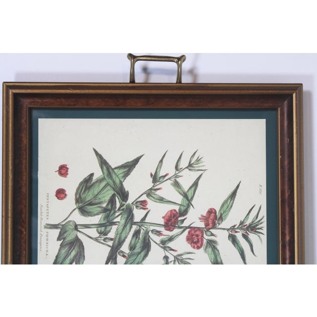 French Vintage Botanical Print Tray With Handles For Sale - Image 3 of 12
