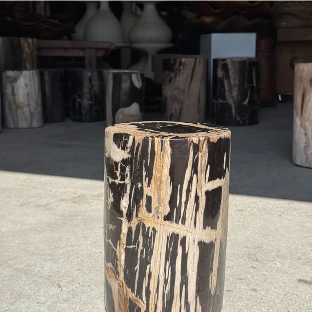 Black Small Side Table in Petrified Wood, Black Heartwood, Bark with Black and Beige Streaks, 1980s For Sale - Image 8 of 18