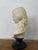 Vintage Classical Bust of a Lady by Arnoldo Giannelli, Italy, 1980s For Sale - Image 16 of 18