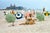 The Hamptons by Toni Frissell A beach scene in The Hamptons USA 1955. (Photo by Toni Frissell) 12x16" inches / 30x40cm...