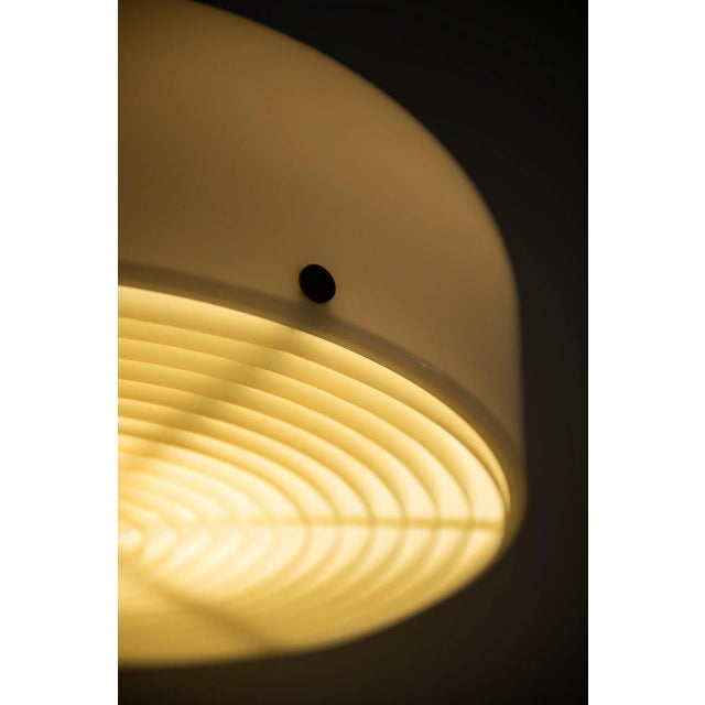 Model Knubbling Floor Lamps by Ateljé Lyktan for Anders Pehrson, Sweden, Set of 2 For Sale - Image 10 of 12