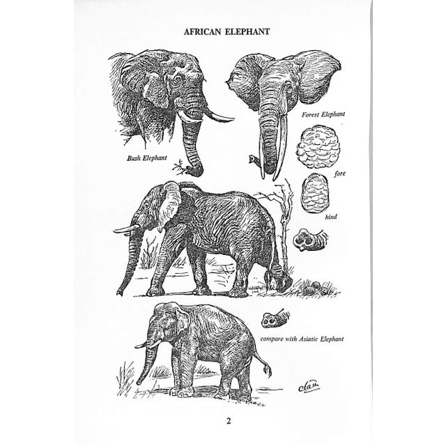 "The Game Animals of Southern Africa" 1963 Maberly C. T. Astley For Sale - Image 9 of 10