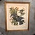 Mid 20th Century Framed Audubon “White-Crowned Pigeon” Print – Vintage Ornithological Illustration For Sale - Image 9 of 9