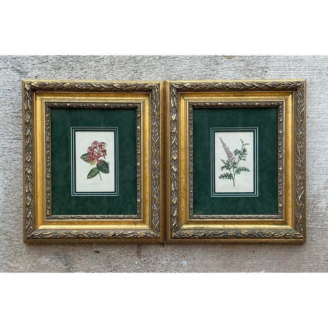 Vintage Framed Botanical Floral Prints - A Pair For Sale - Image 9 of 12