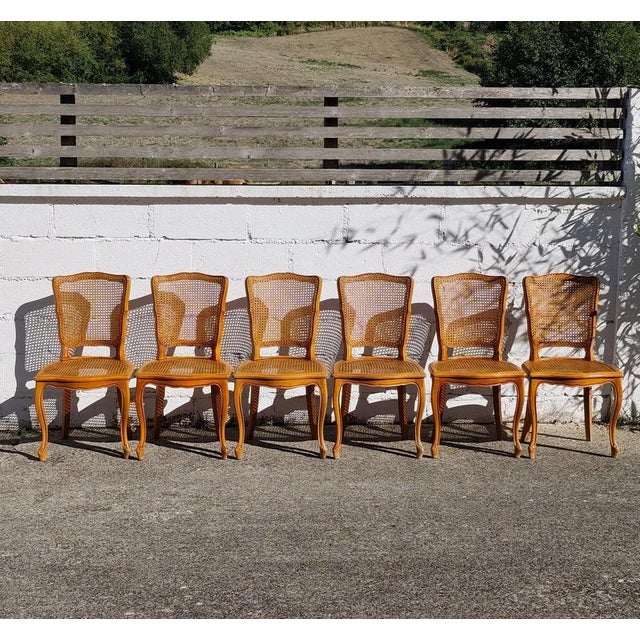 2000 - 2009 French Provincial Louis XV Style Cane and Cherrywood Dining Chairs, Set of 6 For Sale - Image 5 of 18