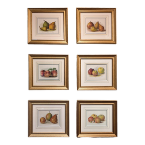 Set of Six Fruit Chromolithographs by May Rivers, English Circa 1892 Reproduction