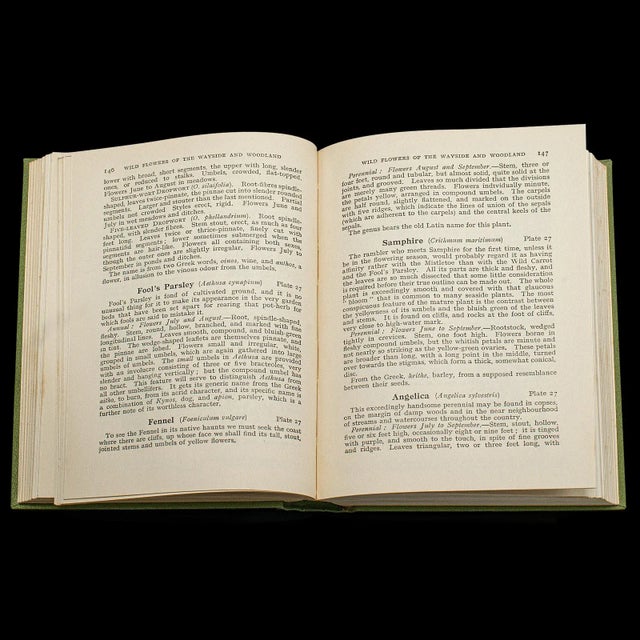 1936's Vintage Reference Book, Wild Flowers of the Wayside For Sale - Image 9 of 12