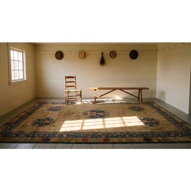 Exceptional Beige Background Color and Blue Border With Animalia Pattern Antique Chinese Rug For Sale - Image 14 of 15