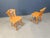 Mid-Century Brutalist Dining Chairs, 1960s, Set of 4 For Sale - Image 4 of 12